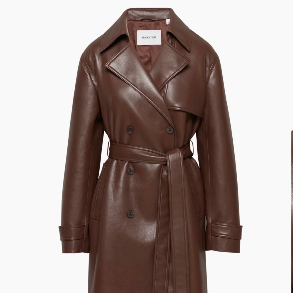 Aritzia Babaton Tabloid Trench Coat